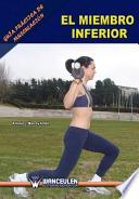 Libro Guía práctica de musculación : el miembro inferior